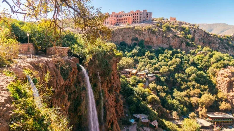 جولة في بساتين الزيتون العريقة