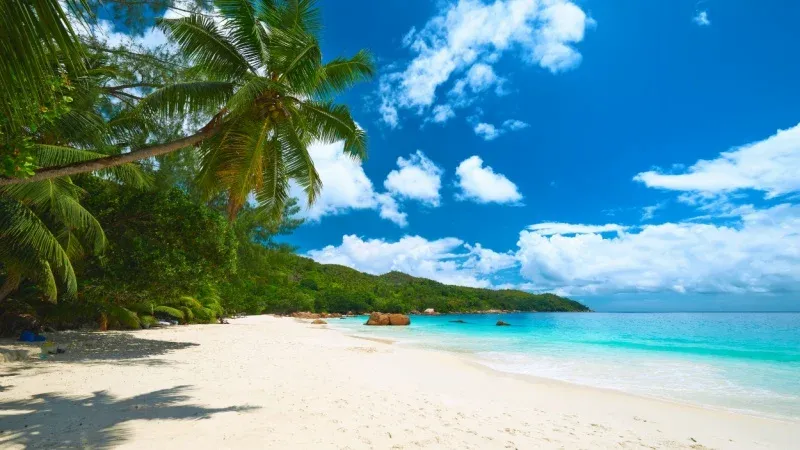 Anse Lazio