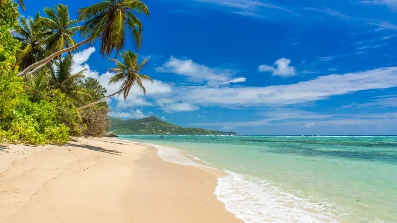 Anse Royale