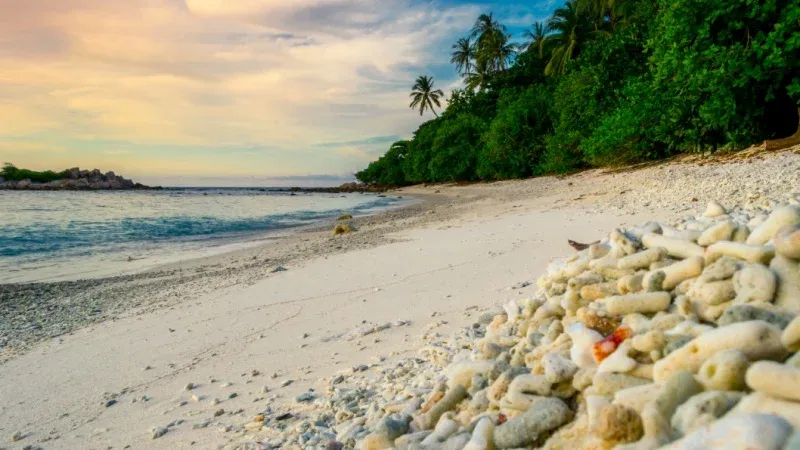 Long Beach, Perhentian Kecil