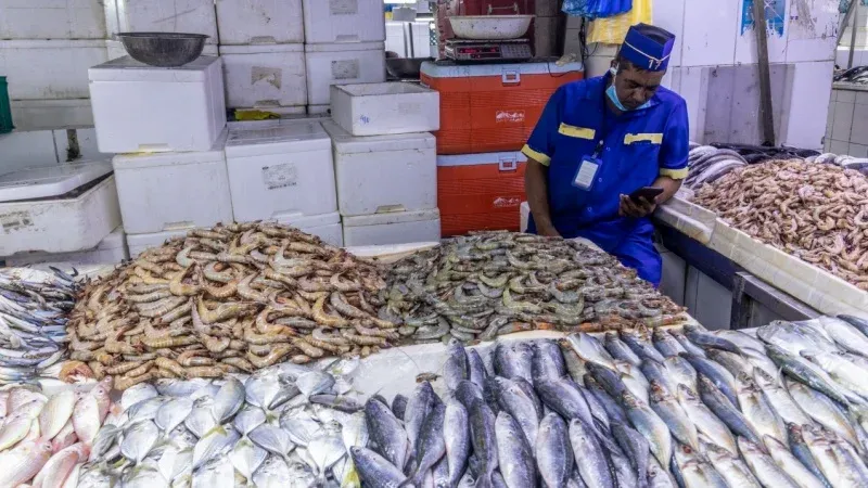 Fish Market (Central Jeddah Fish Market)
