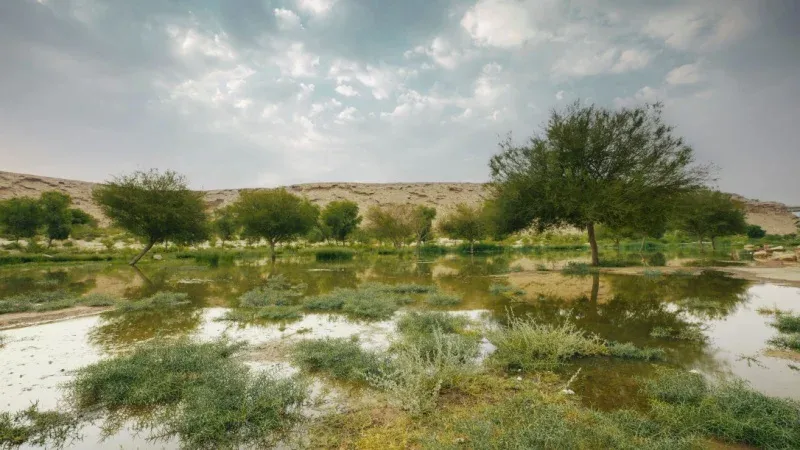 Saqr Trail (Wadi Sulay)