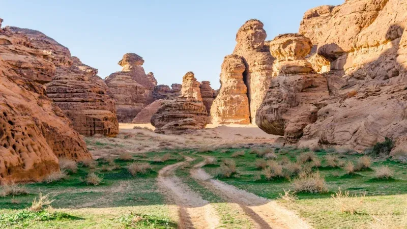 Sharaan Nature Reserve