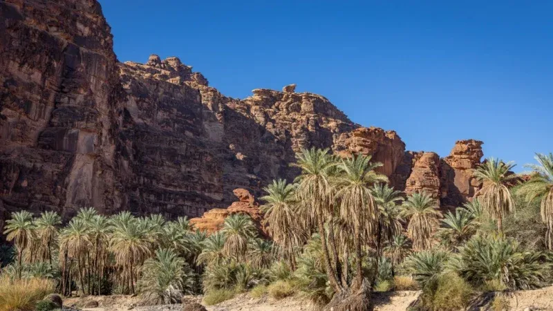 Prince Mohammed bin Salman Royal Reserve