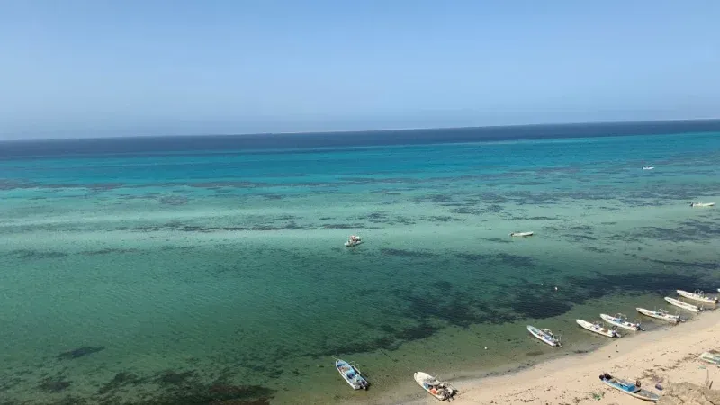 Farasan Islands Marine Sanctuary