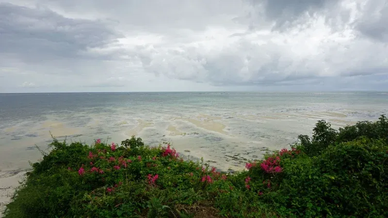 Nyali Beach