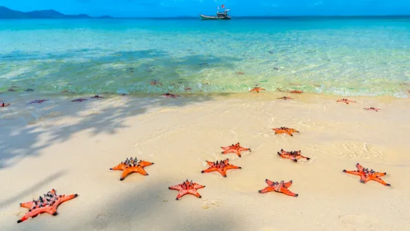 Star Beach (Bai Sao), Phu Quoc