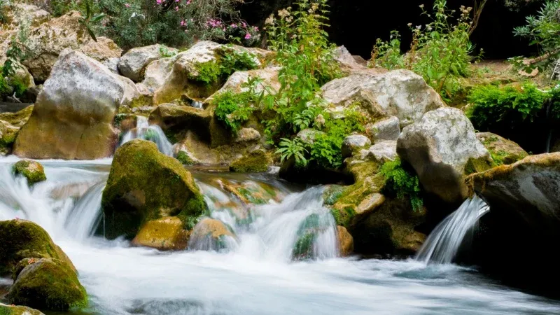 Soak in the serenity of Ras El Ma Waterfall