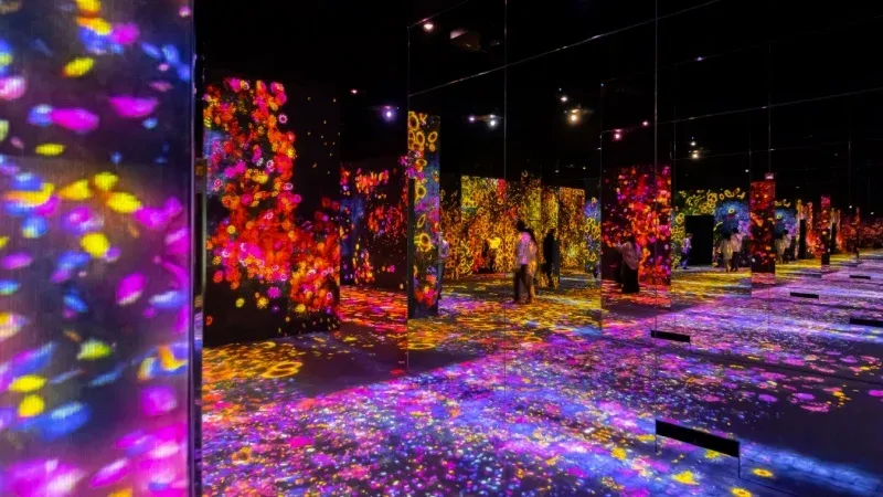 See the immersive art at teamLab SuperNature
