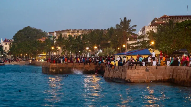 Savour Street Food at Forodhani Gardens Night Market