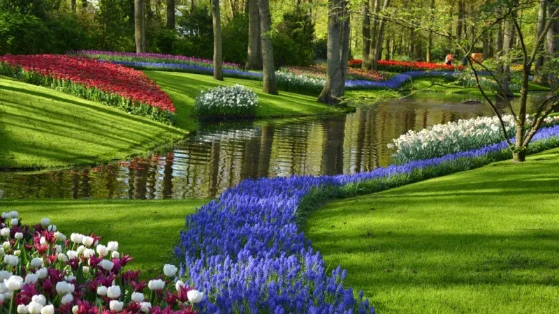 Keukenhof Gardens