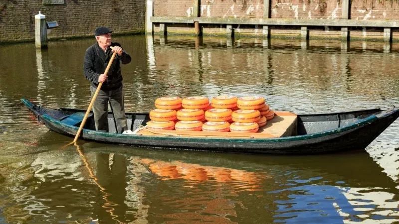 Essential Dutch Experiences for Your Trip