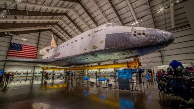 Explore engaging exhibits at California Science Center