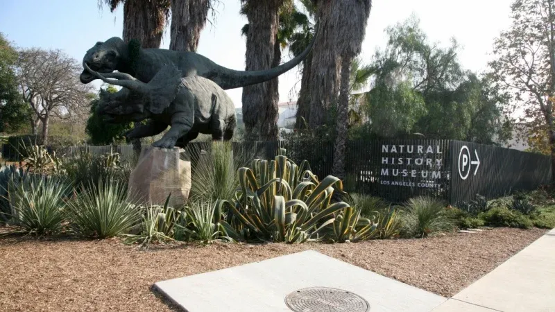 Explore the Natural History Museum of Los Angeles County