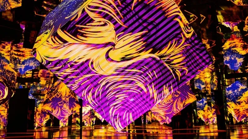 Creative Installations and Festival Zones