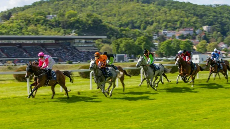 أبرز النقاط الرئيسية لمؤتمر سباقات الخيل الآسيوي الحادي والأربعين لعام ٢٠٢٦