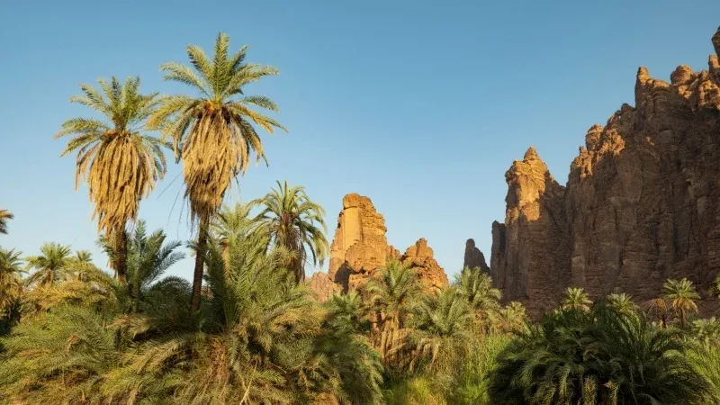 Wadi Al Disah (Hidden Valley)