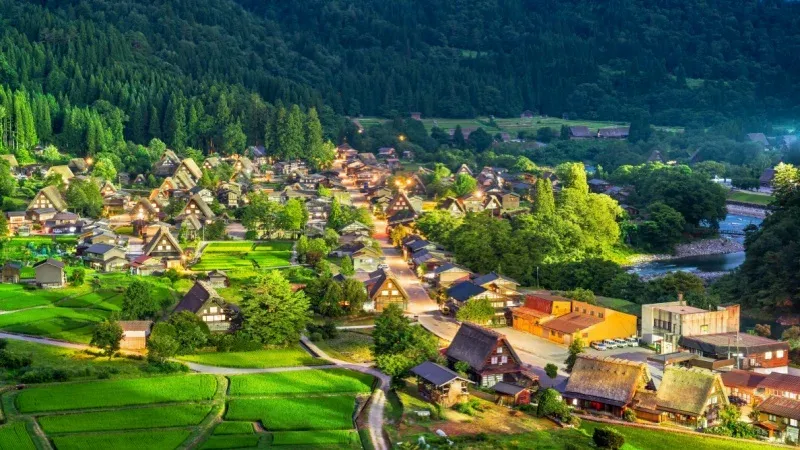 Admire the Gassho-style architecture of Shirakawago