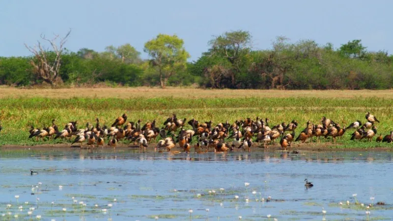 Kakadu National Park