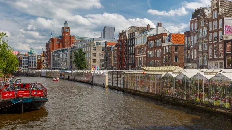 Discover floral delights at Bloemenmarkt