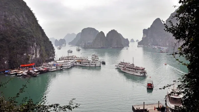 Cruise Through Ha Long Bay
