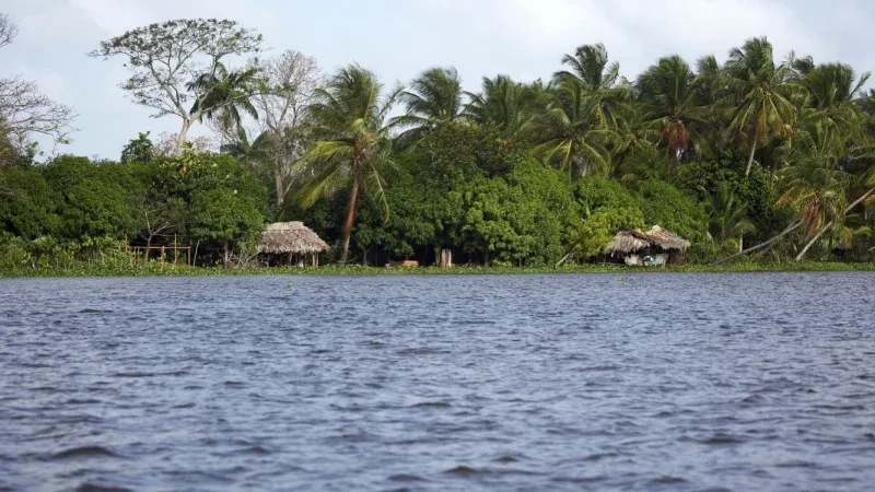 Orinoco Delta