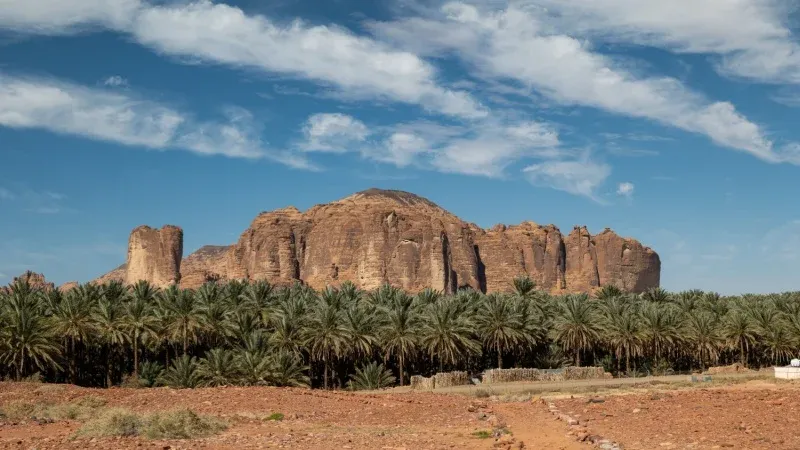 Dadan & Jabal Ikmah Tour