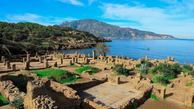 Tipaza