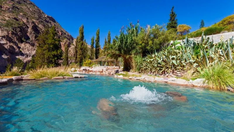 Sabeto Hot Springs and Mud Pool (Nadi)