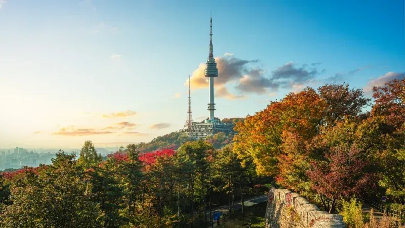 Take in Views from N Seoul Tower