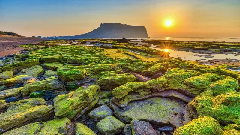 Discover the Beauty of Jeju Island