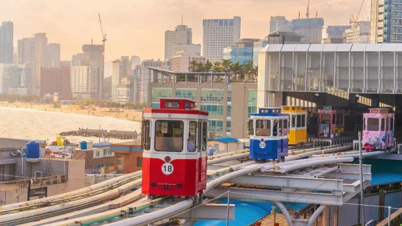 Explore the city of Busan