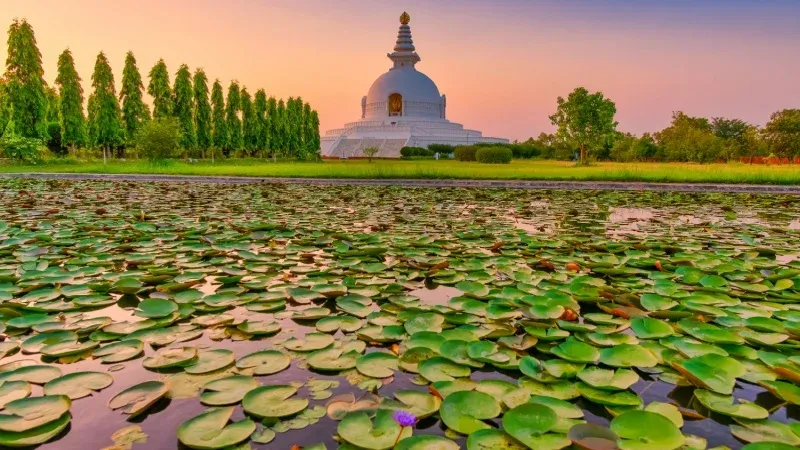 Experience the Serenity of Lumbini