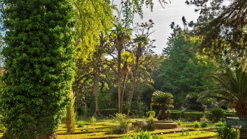 Relax in the Orto Botanico di Pisa