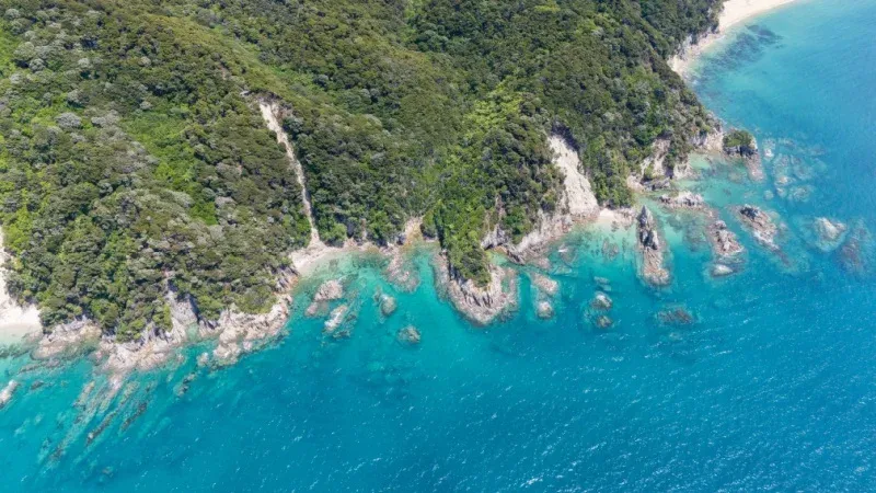Hike in Abel Tasman National Park