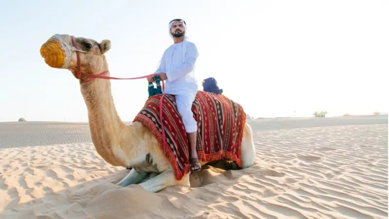 Camel Riding 