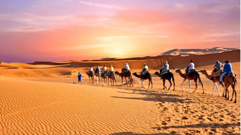 Half-Day Desert Safari In Qatar
