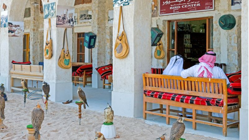 Interesting Facts About Falcon Souq Doha