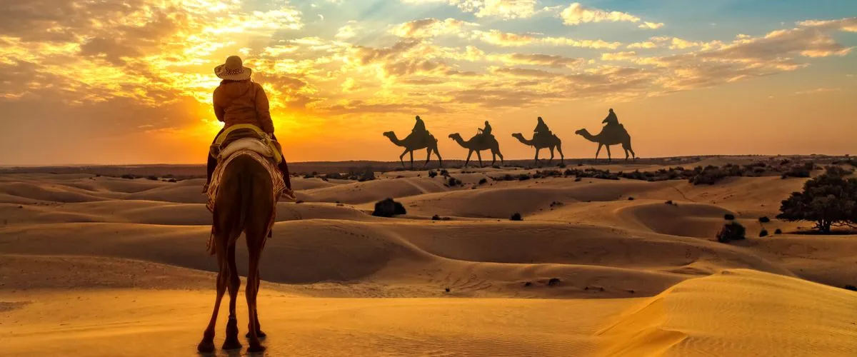 Desert Safari In Qatar: Uncover The Undulating Sand Dunes In The Middle East