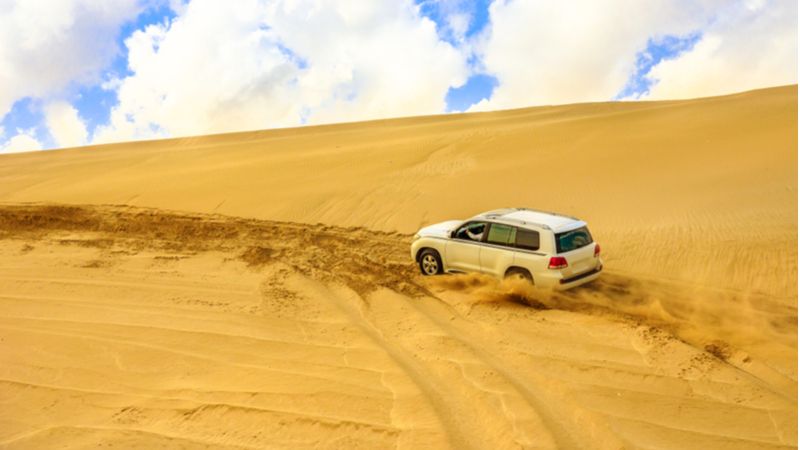 Dive Into A Exhilarating Adventure With Qatari Desert Safari