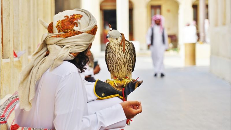 Falcon Souq