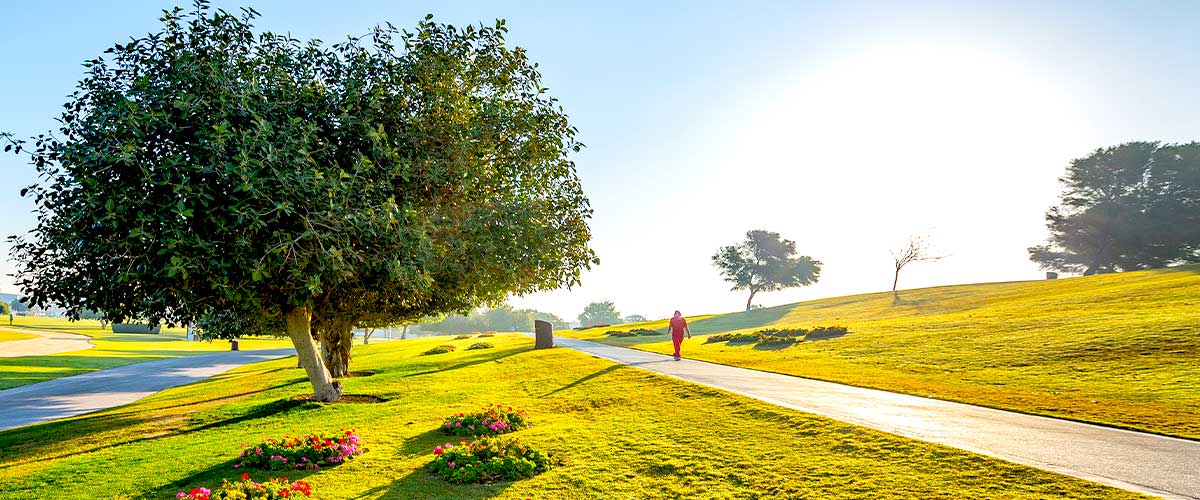 Public Parks In Lusail: Top 3 Places That Bring Joy To You