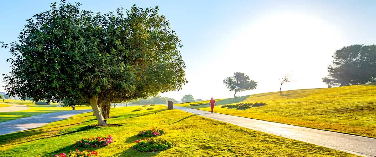 Public Parks In Lusail: Top 3 Places That Bring Joy To You