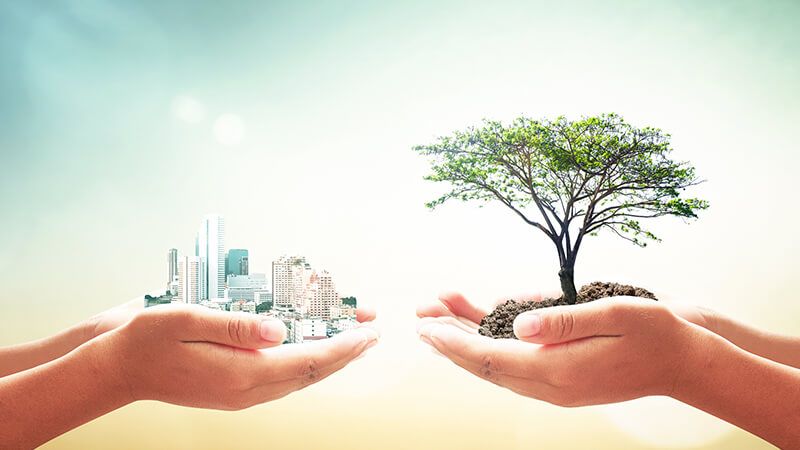 Environmental development