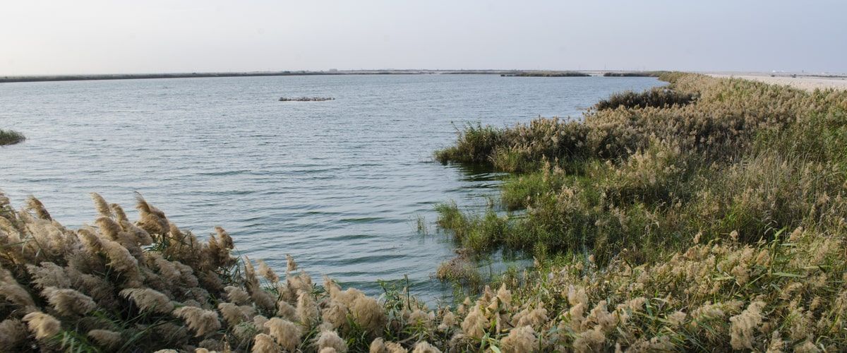 Al Karaana Lagoon Doha: Discovering The Wilderness