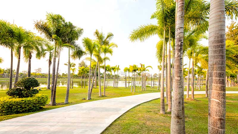 Walking Track For Adults In Al Legtaifiya Park: The Central Plaza 