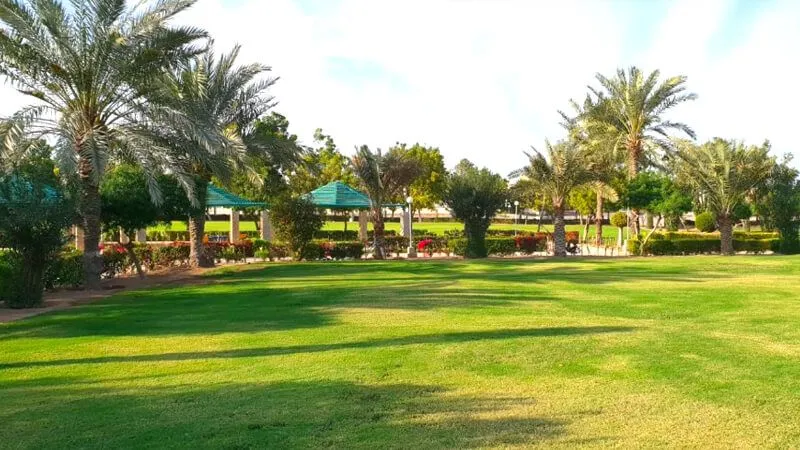 Where Is The Al Shamal Park In Qatar Located