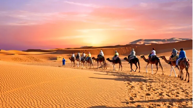 رحلة سفاري الصحراء في قطر نصف يوم 