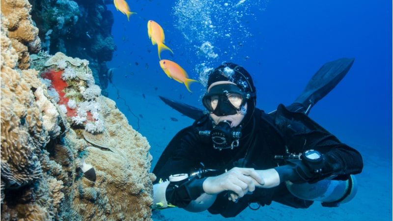 Dive Sites To Explore With Poseidon Diving Center