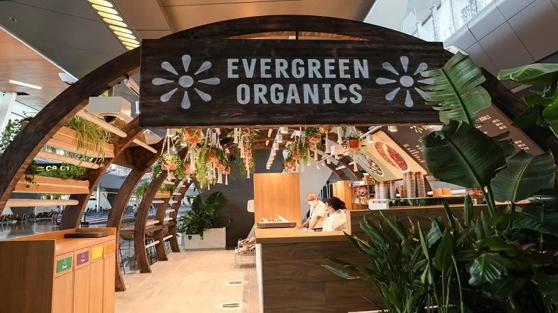 Additional Details About Evergreen Organics Qatar